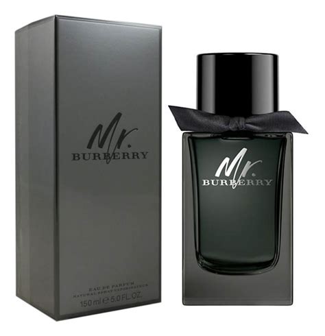 perfume mr burberry masculino|burberry eau de parfum review.